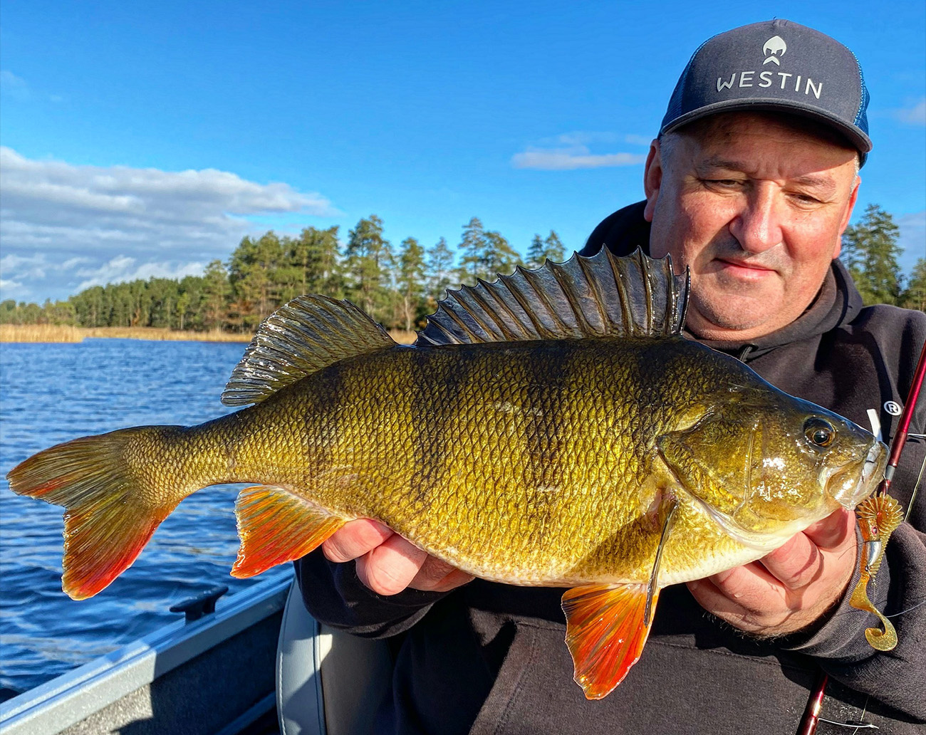 Westin W4 Bait Caster Metallic Trooper - 200 Series Medium Speed